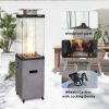 16 Inch x 61 Inch Height Outdoor Propane Gas Fire Heater With Tempered Glass - as Pic