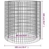 Gabion Fire Pit Ø 39.4" Galvanized Iron - Silver